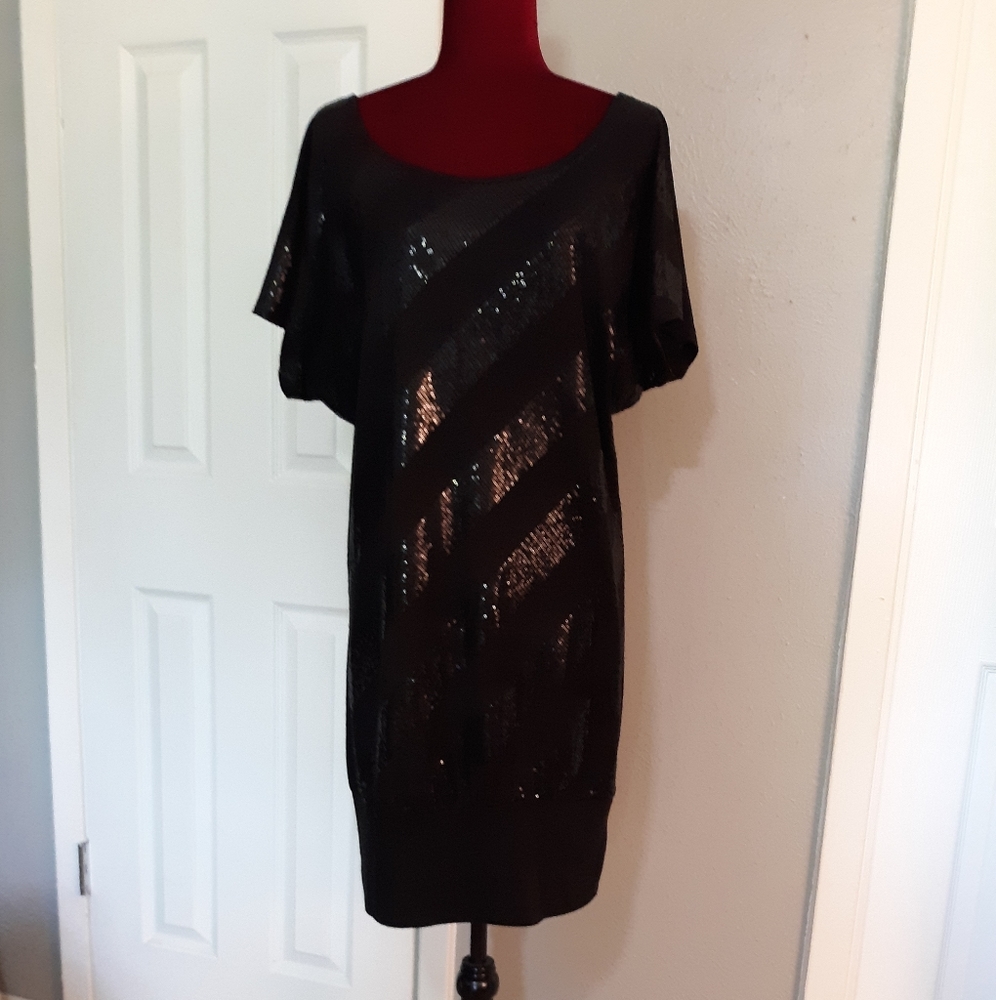 SEQUIN STRIPED DRESS TUNIC